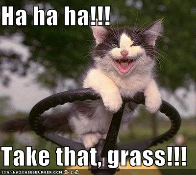 Ha ha ha!!! Take that, grass!!!